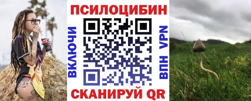 где купить наркотик  Слободской  Псилоцибиновые грибы MAGIC MUSHROOMS 